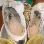 魚とワインはなたれThe Fishand Oysters - 