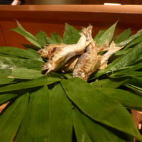 御料理 堀川 - 鮎塩焼き