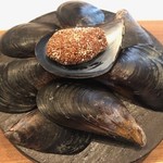 stesso e Magari CHIC - 2019/8