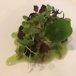 stesso e Magari CHIC - 2019/8