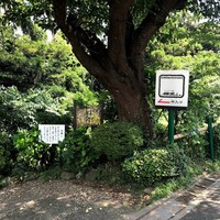 鎌倉山 本店 - 外観。