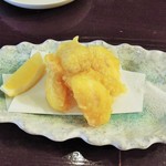 酒肴商店 アジト - イカフライ？