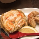 和ごころ 桜彩 - 