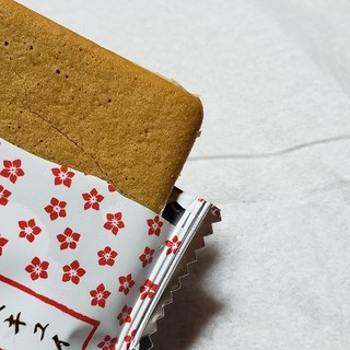 山梨県笛吹川フルーツ公園くだもの館・トロピカル温室_1