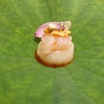 銀座 しのはら - 蓮根豆腐に雲丹・ボタン海老