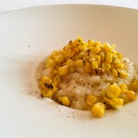 サーラ アマービレ - 