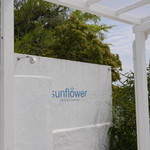 BeachHouseStyleCafe sunflower - 