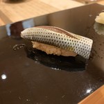 こいき - コハダ