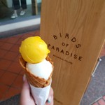 Birds of Paradise Gelato Boutique - マンゴーとバジル
