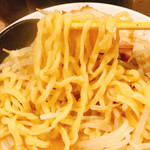 濃厚煮干しラーメン 麺屋 弍星 - 麺のアップです。（2019.8 byジプシーくん）