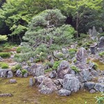 青岸寺内茶寮 喫茶去 - お庭