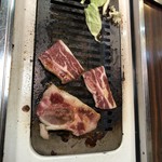 かも川 - 