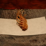 ワサビ - 海老(脚)