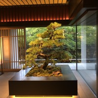 水暉 ザ・リッツ・カールトン京都 - 