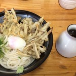 麺cafe ぱくぱく - 「ごぼう天ぶっかけうどん ５００円」です