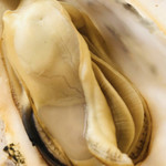 かき道楽 - 料理写真: