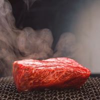本日の肉塊