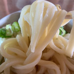 手打うどん たむら - かけうどん大