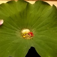 道人 - 