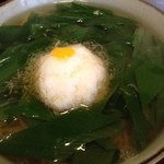 手打ち蕎麦 かね井 - ねぎおろしそば