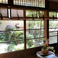 古月 - 