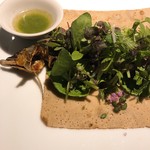 レフェルヴェソンス - 