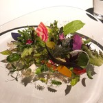 レフェルヴェソンス - 