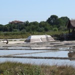 Salina di Cervia - 