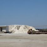 Salina di Cervia - 