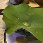 ダイニング和香葉 - 夏の露 パフォーマンスが素晴らしい♫