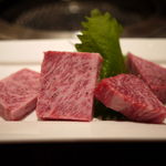 本格溶岩焼肉 みやび - 