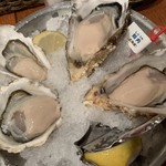 Oyster Bar ジャックポット - 