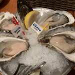 Oyster Bar ジャックポット - 