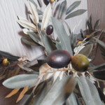 ビストロ セレニテ - おトイレにオリーヴ　プラッチックです(笑)