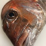 SAKANAYAこやま - 料理写真: