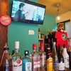 Mad Cat Hostel Osaka & Bar