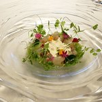 リストランテKubotsu - カンパチのマリネ　キュウリのジュレを添えて（2019.7）