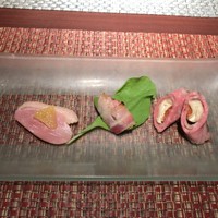 旬菜ステーキ処 らいむらいと - 