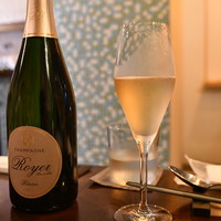 セルサルサーレ - 