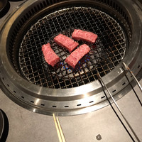 niku no OTO - 