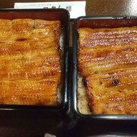 鰻 十和田 - 
