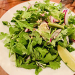 東京ブッチャーズ - 山盛りパクチーサラダ