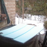 月の花 梟 - 朝晩は冷え込むので、ふたがしてありました