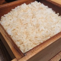 浅草むぎとろ 本店 - 