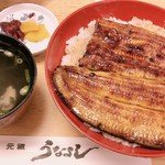 Gansounayoshi - 鰻 並丼