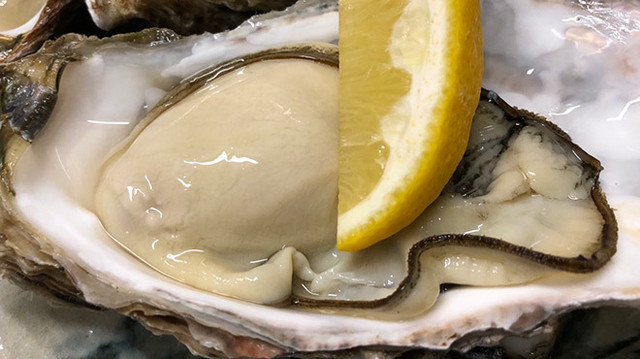 カラオケレインボー 河原町店 京都河原町 その他 食べログ カラオケレインボー 河原町店 京都河原町 その他 食べログ