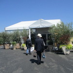 Opus One Winery - 仮設テント①