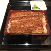 うなぎ 目白ぞろ芽 - 