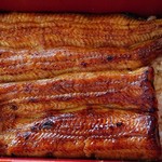 うなぎ 川松 - うな重アップ