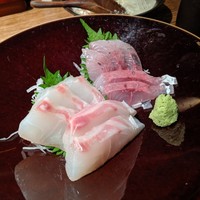 赤坂かこい - 